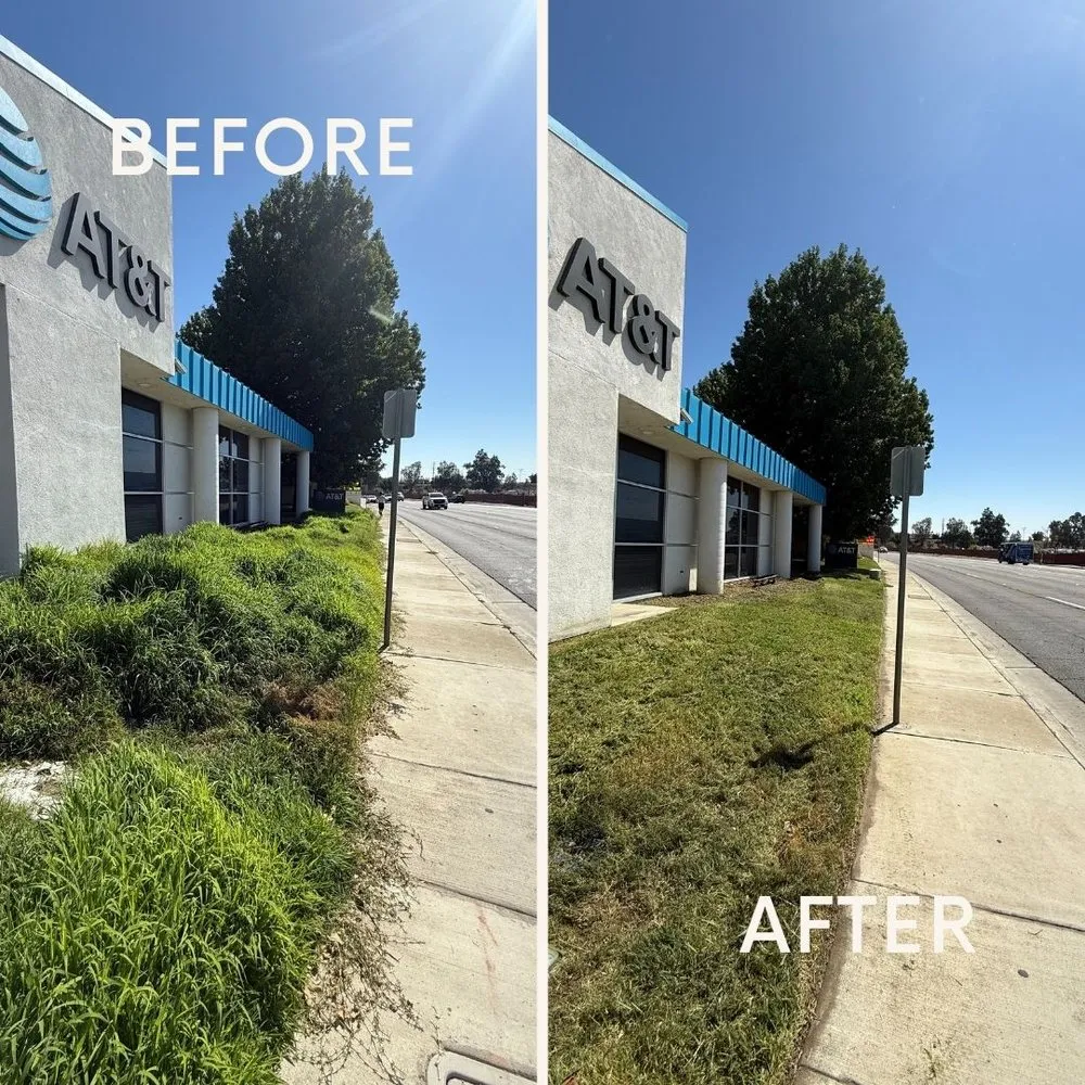 Reliable landscaping services in Bakersfield, CA - Pro Cut Landscape