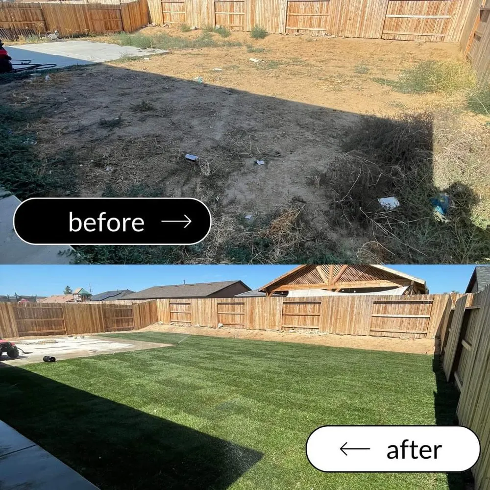 Trusted yard maintenance in Bakersfield, CA by Pro Cut Landscape