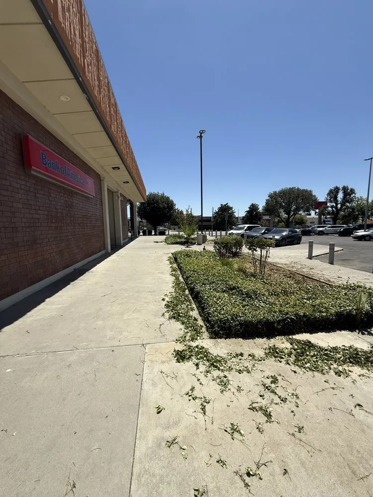 Affordable landscaping services with custom design in Bakersfield, CA by Pro Cut Landscape