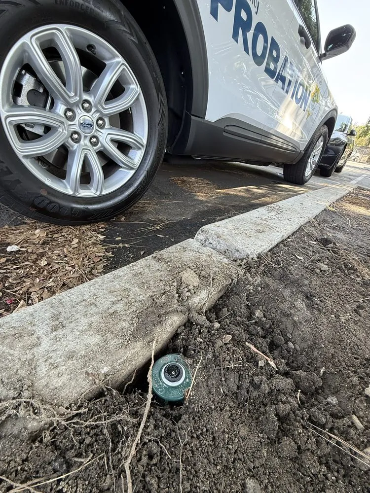 Custom lawn mowing service in Bakersfield, CA by Pro Cut Landscape