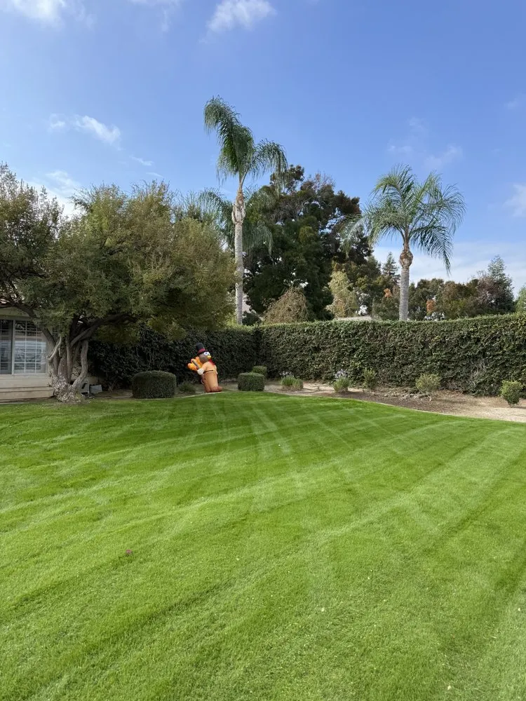 Top-rated landscape installation in Bakersfield, CA - Pro Cut Landscape