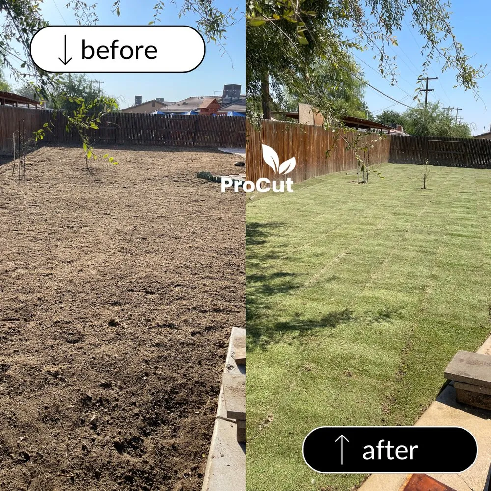 Local lawn care service for beautiful yards across Bakersfield, CA - Pro Cut Landscape