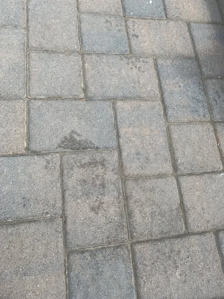 Affordable residential landscaping experts serving West Nyack, NY - Pro Cut Landscaping