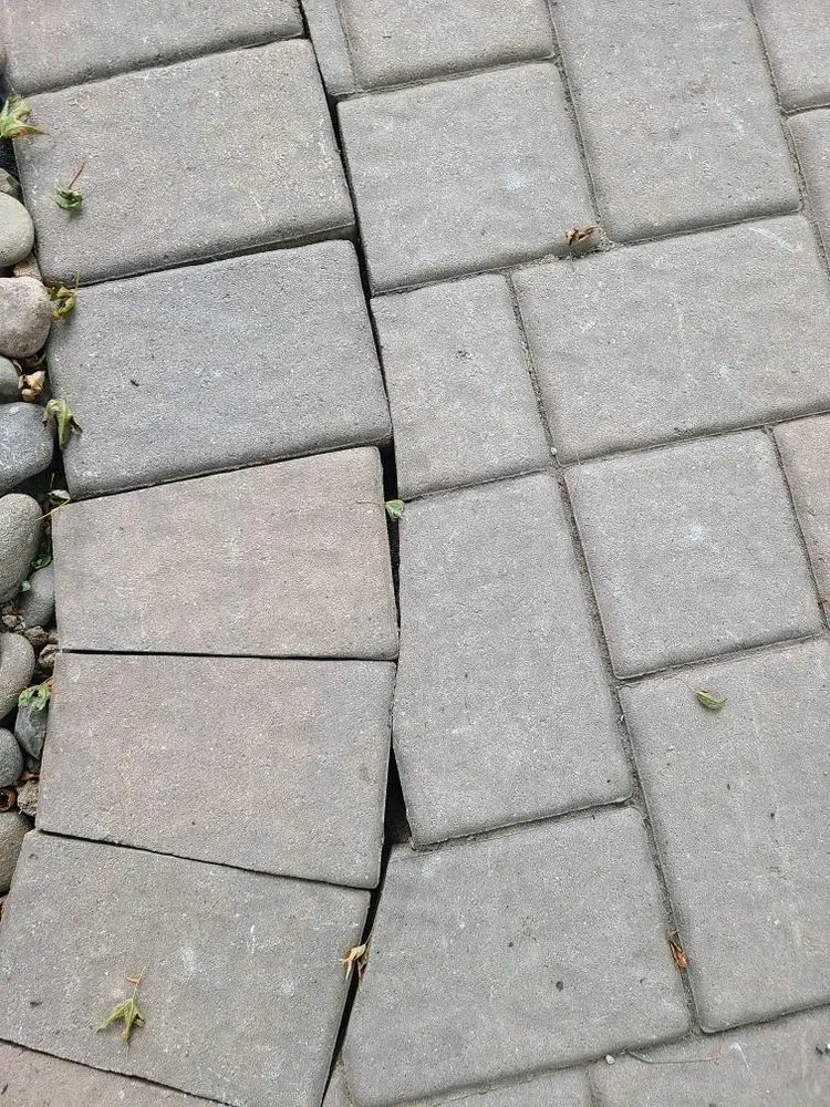 Professional yard maintenance in West Nyack, NY - Pro Cut Landscaping