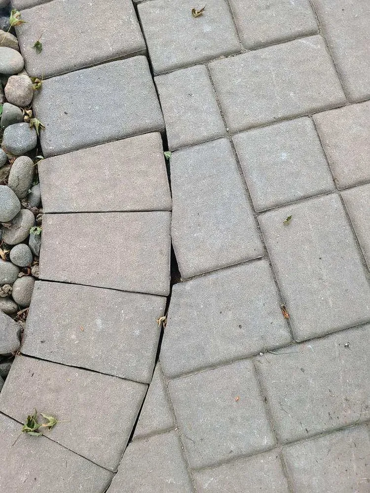 Local lawn care service with custom design in West Nyack, NY by Pro Cut Landscaping