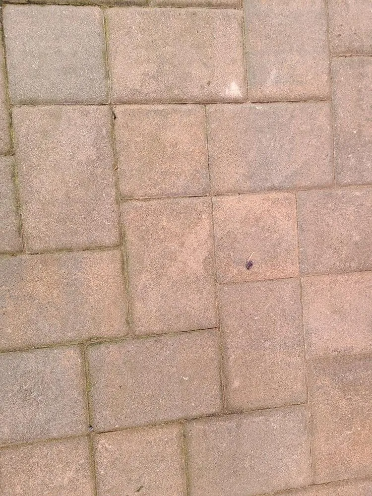 Affordable outdoor landscaping experts serving West Nyack, NY - Pro Cut Landscaping