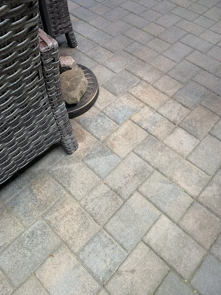 Reliable yard cleanup service experts serving West Nyack, NY - Pro Cut Landscaping