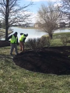 Local yard maintenance for beautiful yards across Greenfield, IN - Pro Cut Lawn And Landscape