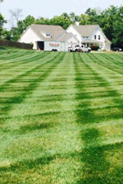 Reliable residential landscaping in Greenfield, IN by Pro Cut Lawn And Landscape