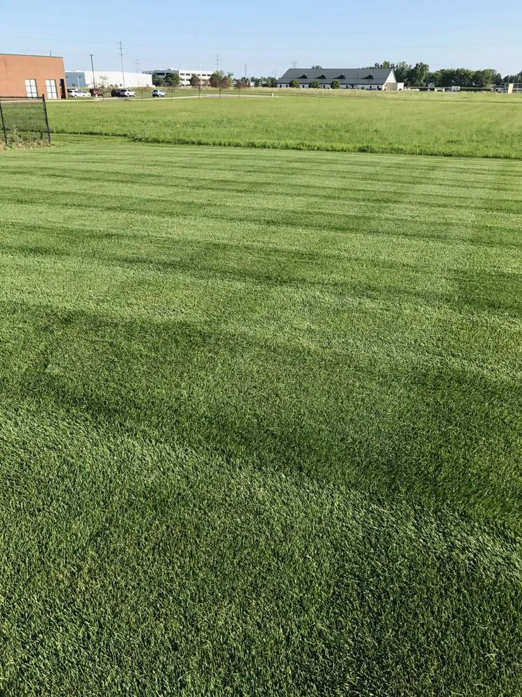 Local landscaping services experts serving Kokomo, IN - Pro-Cut Lawn Care and Fertilization