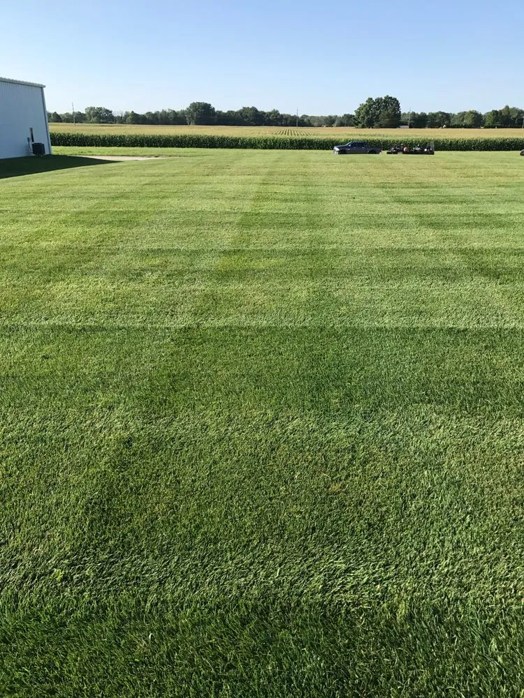 Trusted yard cleanup service for residential properties in Kokomo, IN by Pro-Cut Lawn Care and Fertilization