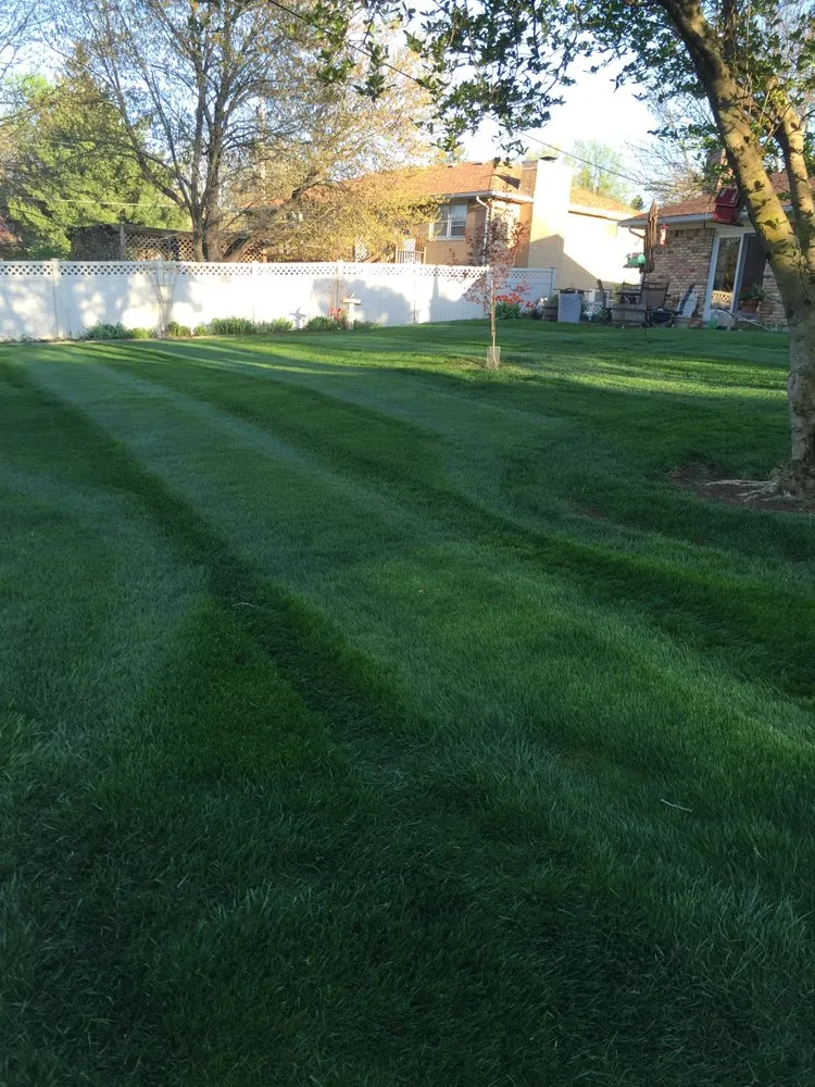 Trusted landscape installation in Kokomo, IN - Pro-Cut Lawn Care and Fertilization