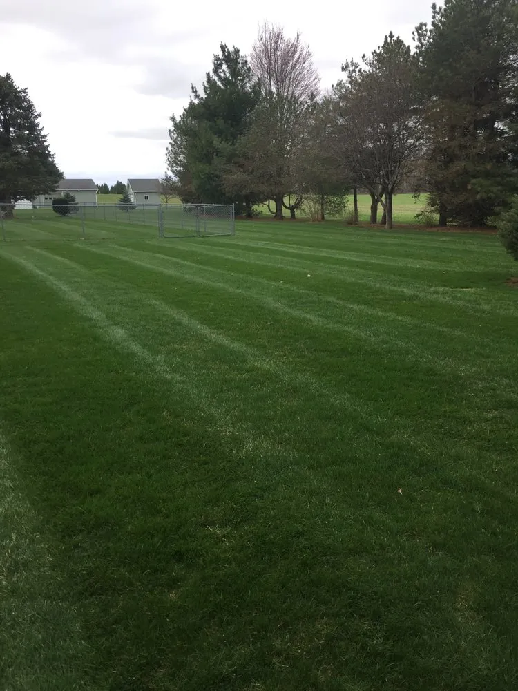 Reliable landscaping services experts serving Kokomo, IN - Pro-Cut Lawn Care and Fertilization