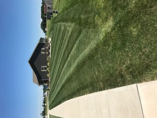 Pro-Cut Lawn Care and Fertilization Logo