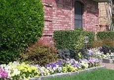 Affordable lawn mowing service experts serving Plano, TX - Pro Cut Lawn Care and Landscape