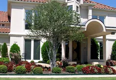Expert landscape installation in Plano, TX - Pro Cut Lawn Care and Landscape