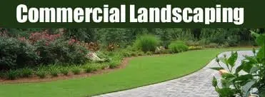 Top-rated landscape design in Plano, TX - Pro Cut Lawn Care and Landscape