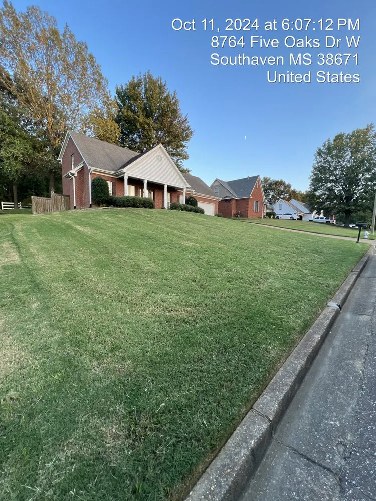 Trusted yard cleanup service in Southaven, MS - Pro Cut Lawn Care