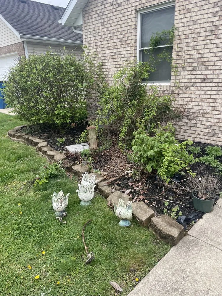 Trusted residential landscaping for beautiful yards across West Terre Haute, IN - Pro Cut Lawn Care