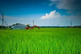 Custom outdoor landscaping experts serving Bastrop, TX - Pro-Cut Lawn Service