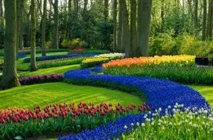 Expert garden landscaping for residential properties in Bastrop, TX by Pro-Cut Lawn Service