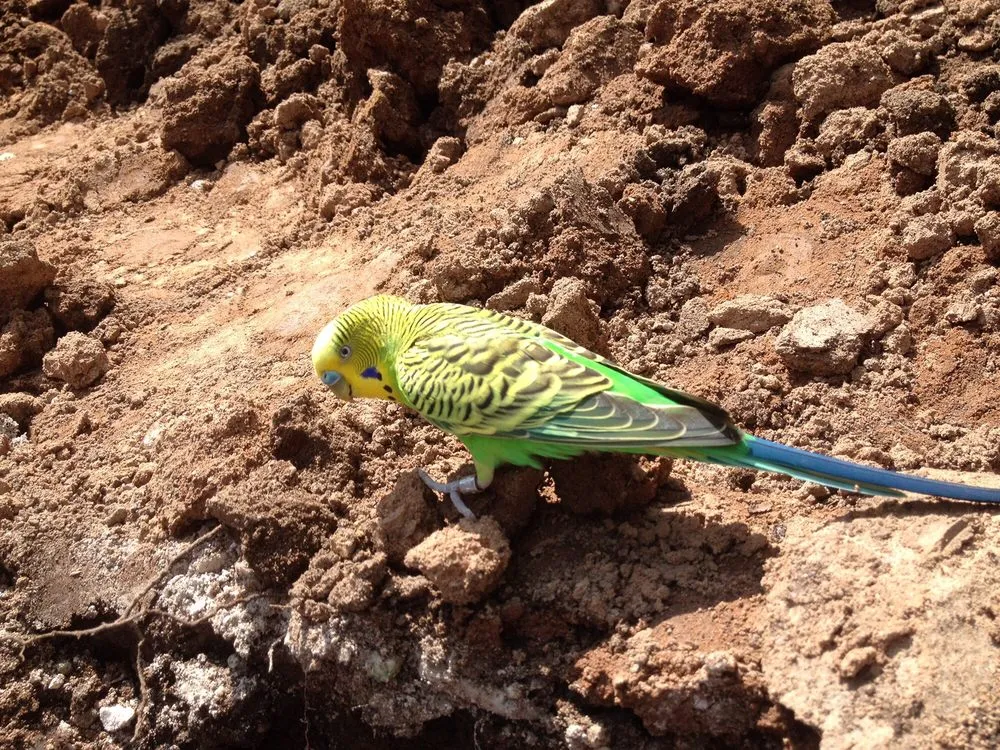 Trusted outdoor landscaping experts serving Branford, CT - PRO-CUT Lawn Service