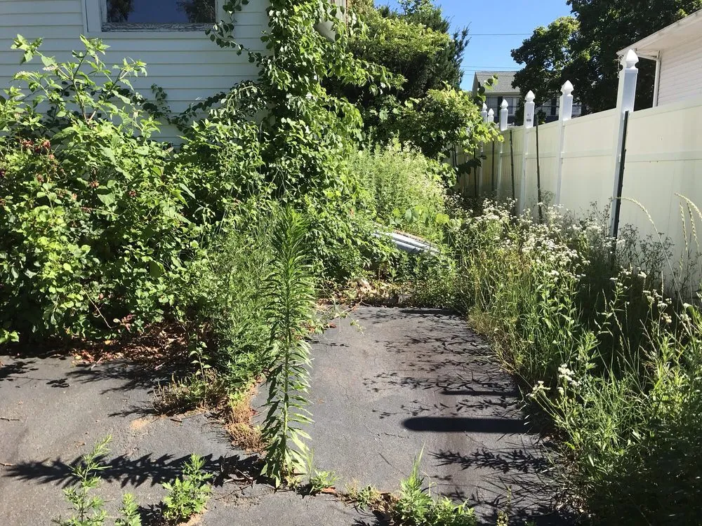 Local landscape installation in Branford, CT - PRO-CUT Lawn Service