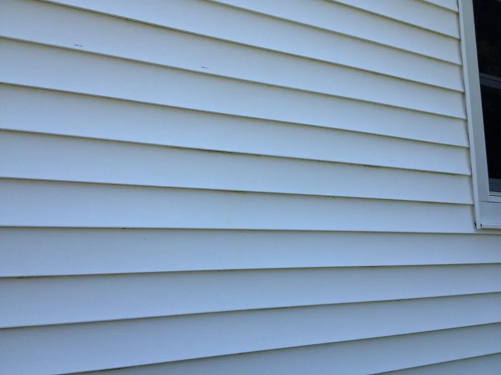 Local yard cleanup service in Branford, CT by PRO-CUT Lawn Service