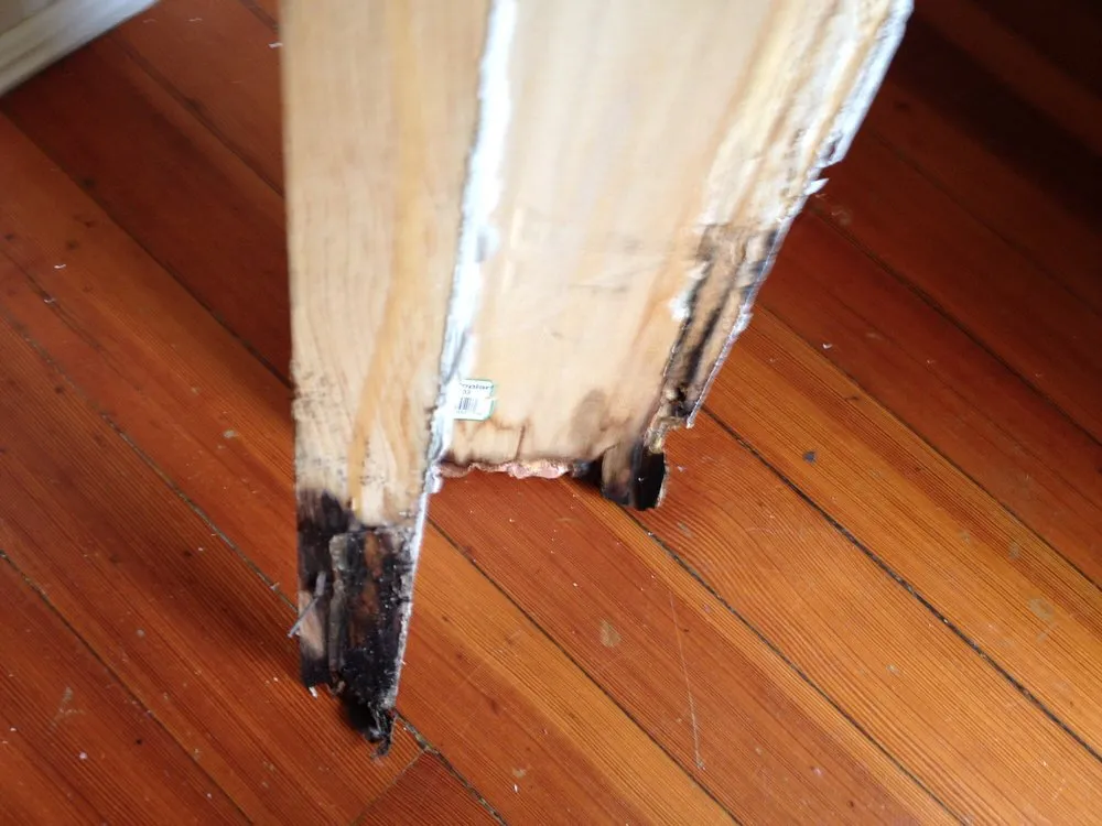 Trusted yard maintenance with custom design across Branford, CT - PRO-CUT Lawn Service