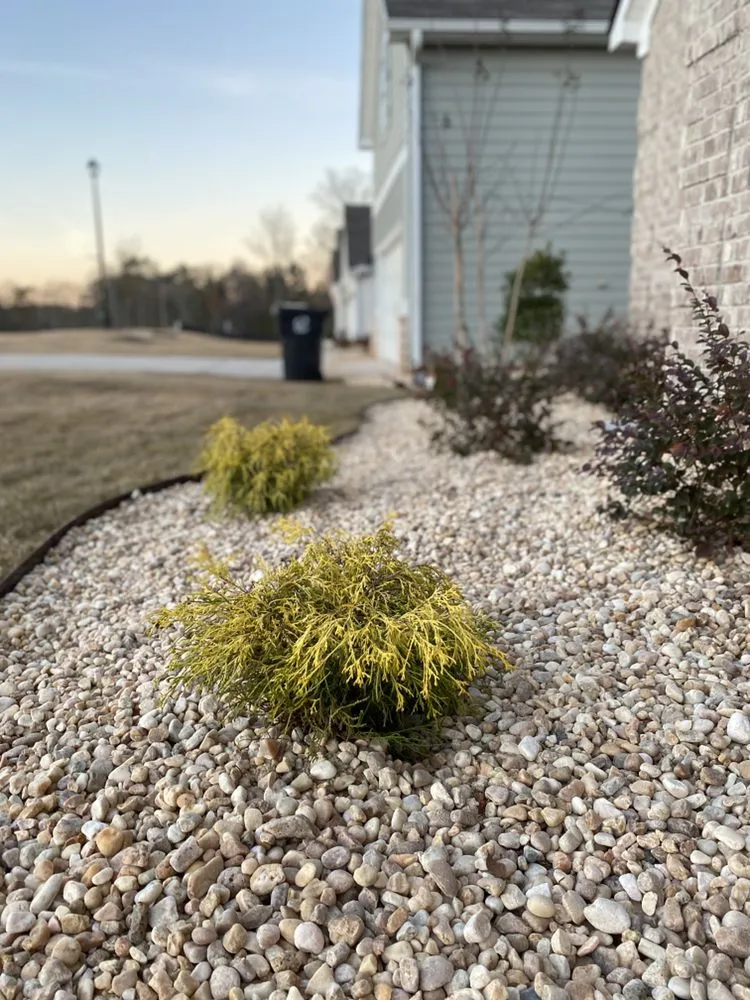 Local residential landscaping for outdoor upgrades across Locust Grove, GA - Pro-Cut Lawncare