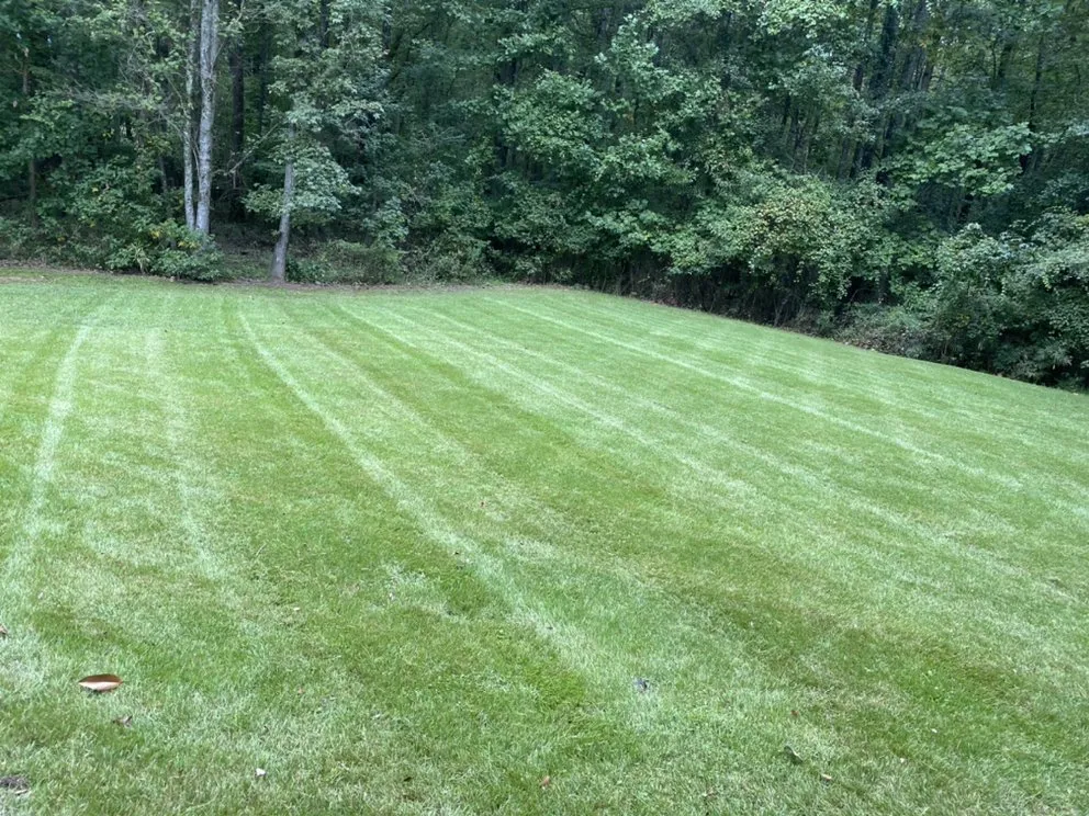 Expert residential landscaping in Locust Grove, GA - Pro-Cut Lawncare