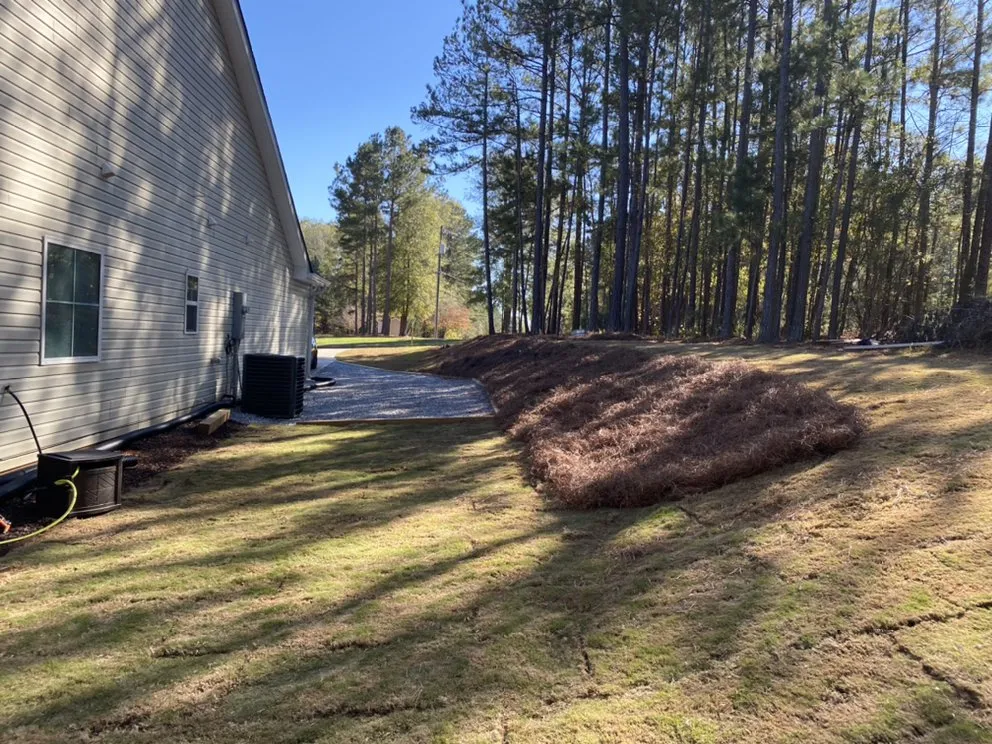 Trusted yard cleanup service in Locust Grove, GA by Pro-Cut Lawncare