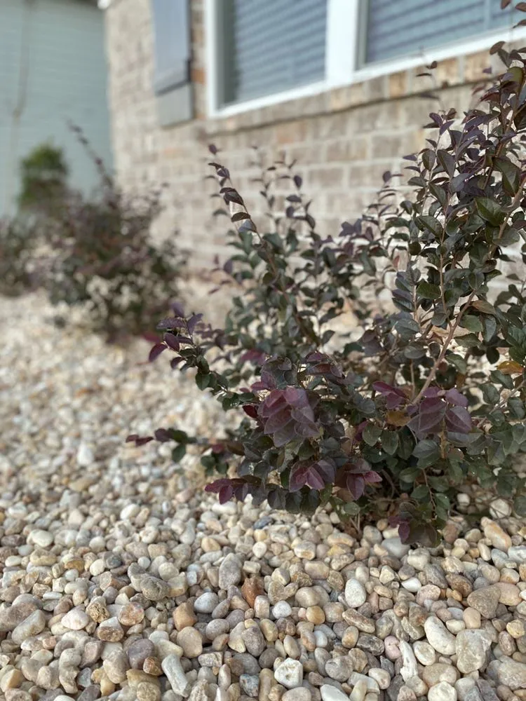 Local residential landscaping in Locust Grove, GA by Pro-Cut Lawncare