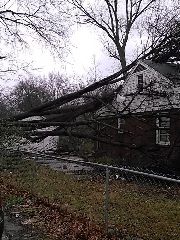 Top-rated lawn mowing service in Memphis, TN by Pro Cut Tree Care