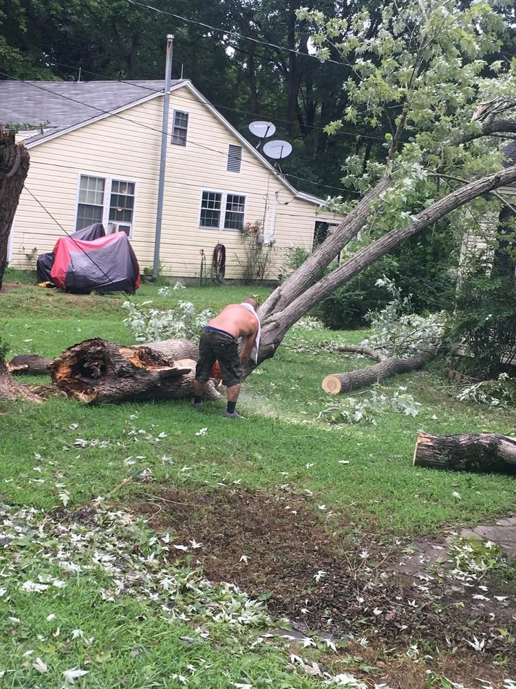 Professional landscape design for homes in Memphis, TN by Pro Cut Tree Care