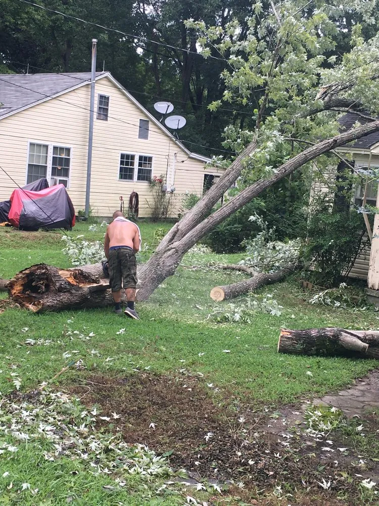 Top-rated landscape installation in Memphis, TN by Pro Cut Tree Care