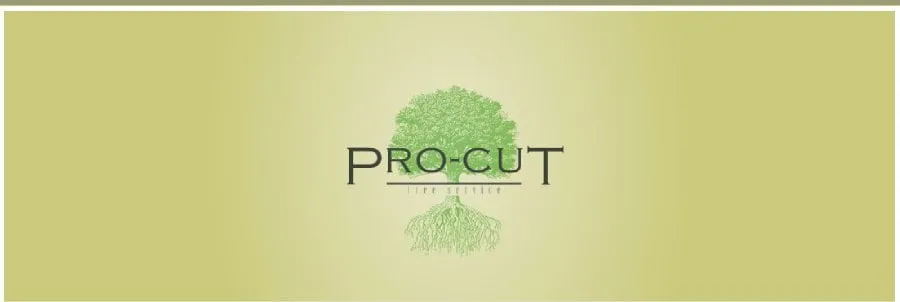 Trusted residential landscaping in Everett, WA by Pro Cut Tree Services
