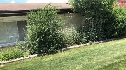 Reliable landscaping services for homes across Dearborn, MI - Pro cuts landscape