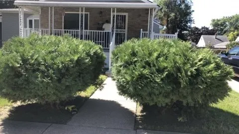 Professional landscaping services in Dearborn, MI by Pro cuts landscape