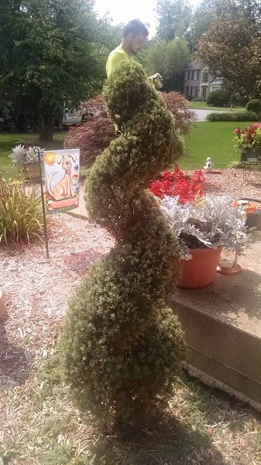 Expert yard maintenance in Aurora, IN by Pro Cuts Landscaping & Lawn Care