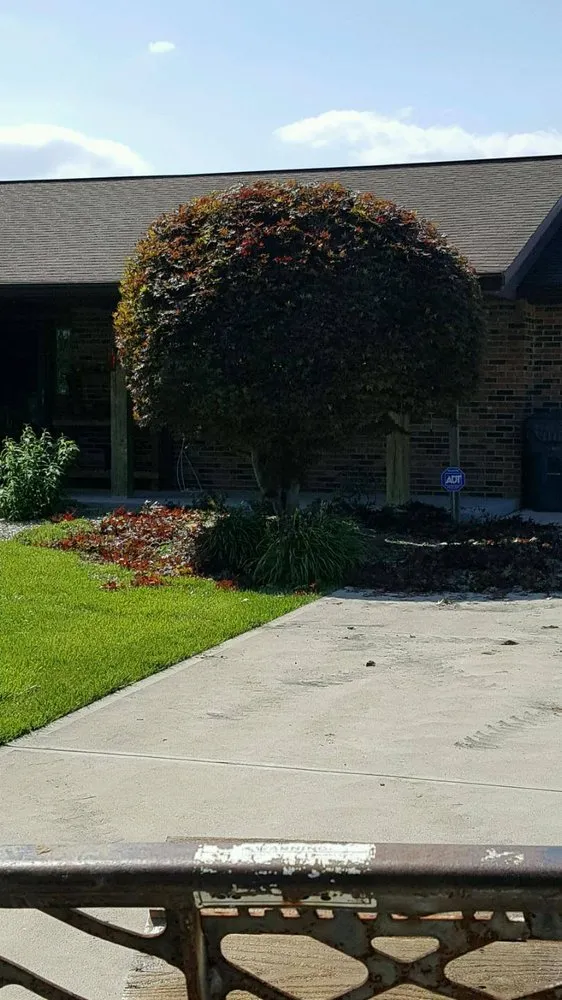 Professional lawn care service for homes across Aurora, IN - Pro Cuts Landscaping & Lawn Care