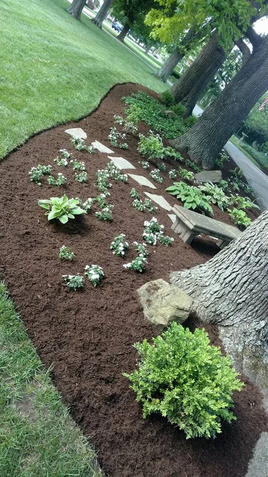 Trusted yard maintenance experts serving Aurora, IN - Pro Cuts Landscaping & Lawn Care