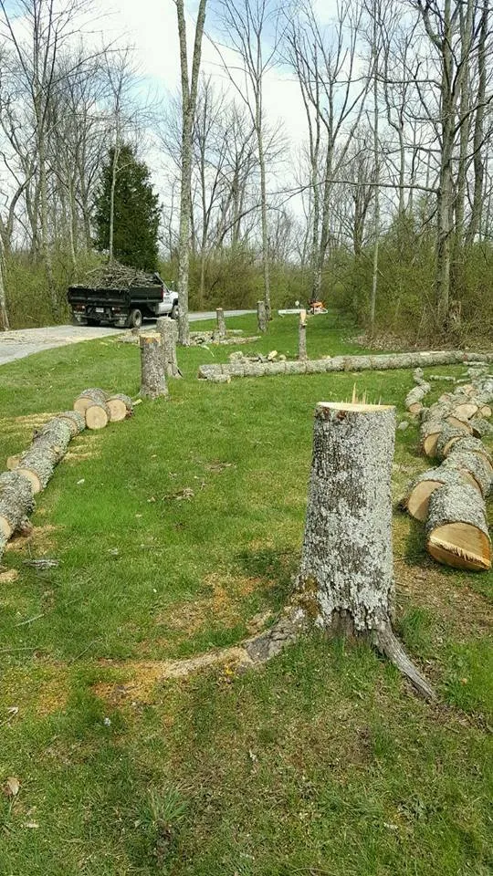 Top-rated lawn care service for year-round maintenance across Aurora, IN - Pro Cuts Landscaping & Lawn Care