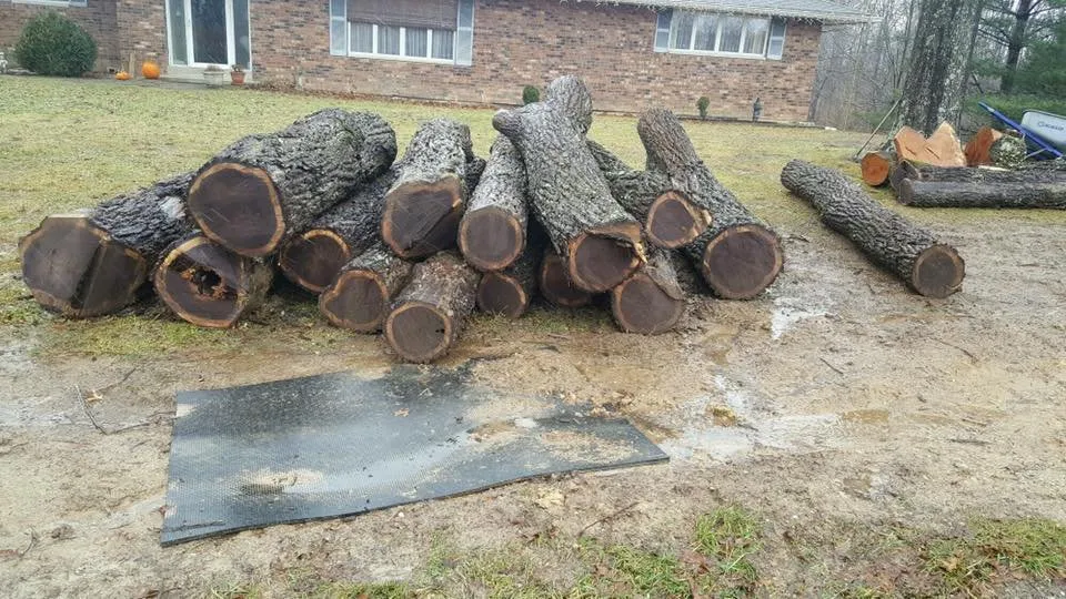 Expert outdoor landscaping for year-round maintenance in Aurora, IN by Pro Cuts Landscaping & Lawn Care