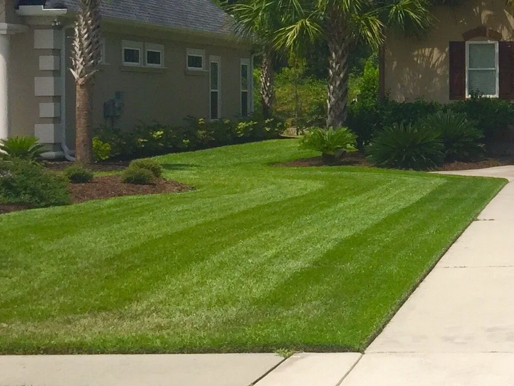 Local yard maintenance in Myrtle Beach, SC - Pro Cuts Lawn Service