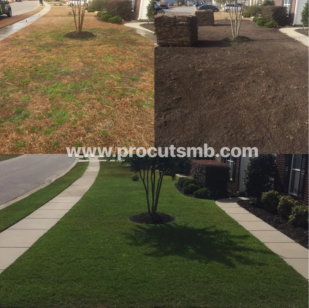 Local lawn care service experts serving Myrtle Beach, SC - Pro Cuts Lawn Service