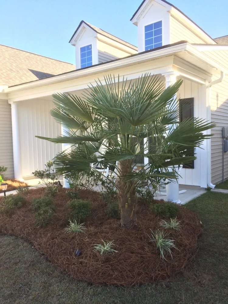 Local landscape design for year-round maintenance in Myrtle Beach, SC by Pro Cuts Lawn Service