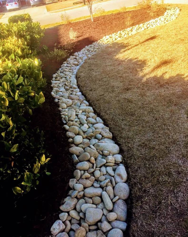 Affordable lawn care service for homes across Myrtle Beach, SC - Pro Cuts Lawn Service