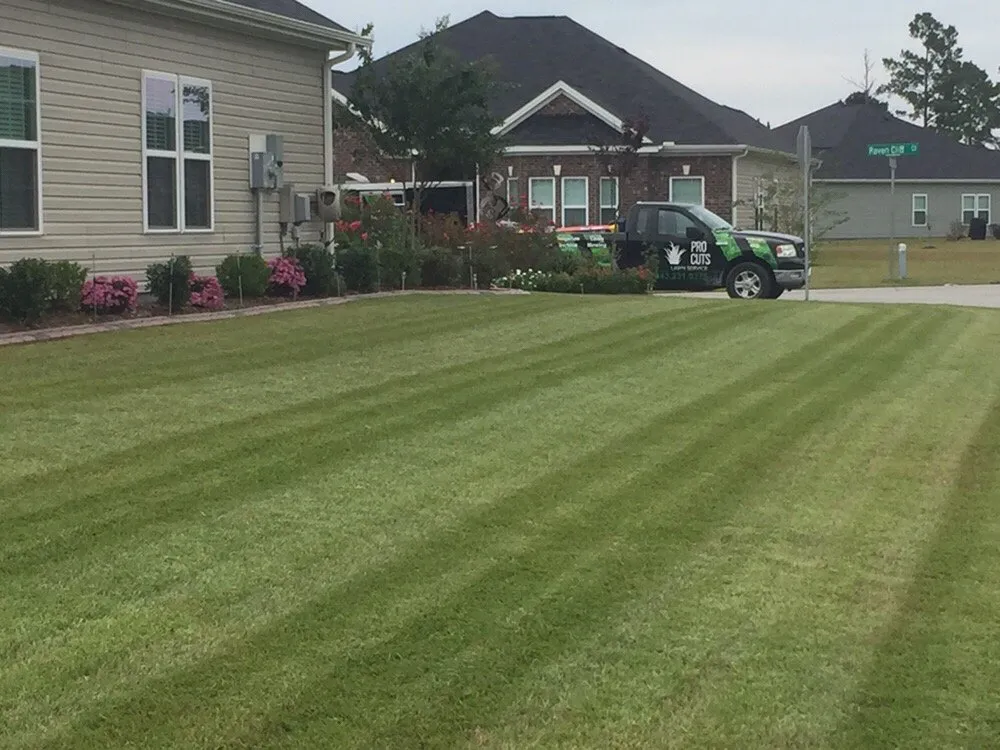 Affordable outdoor landscaping in Myrtle Beach, SC by Pro Cuts Lawn Service