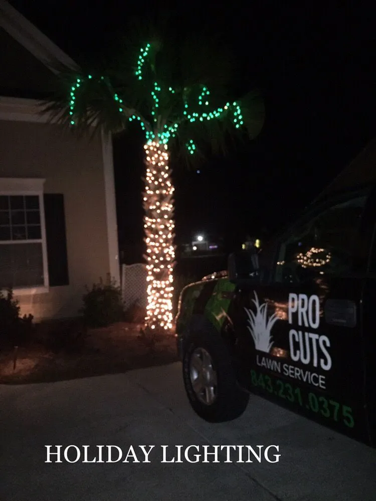 Top-rated garden landscaping experts serving Myrtle Beach, SC - Pro Cuts Lawn Service